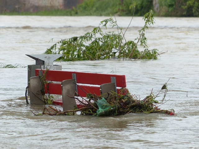 disaster
