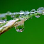water