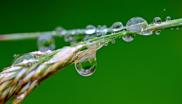 water