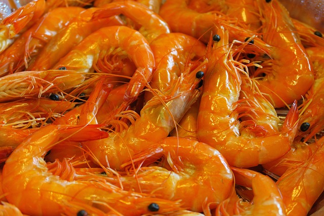 seafood