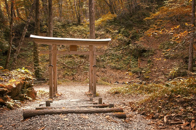 autumn