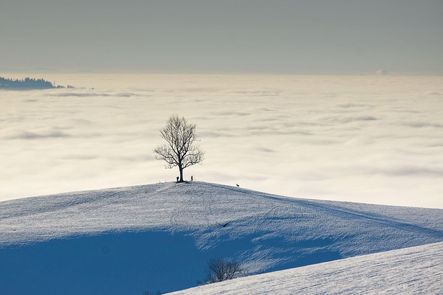 landscapes
