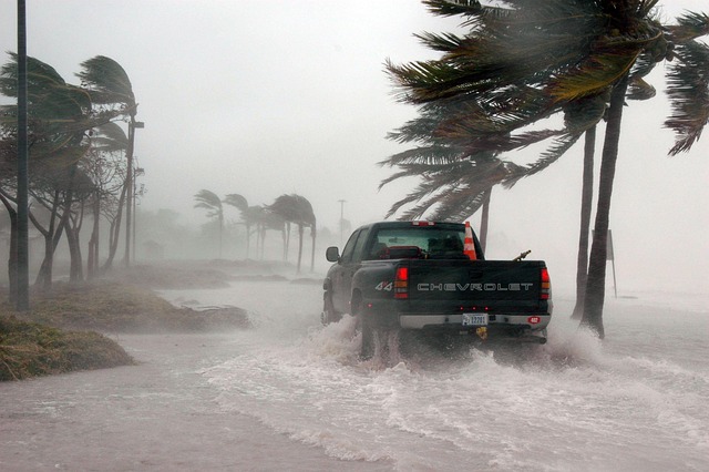 disaster preparedness