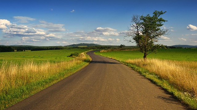 landscape